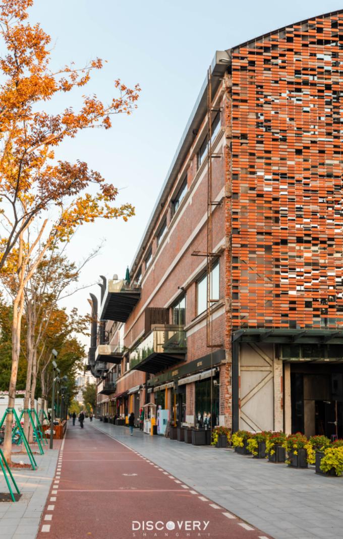 上海周末骑行好去处,上海周边适合春天骑行的地方排名