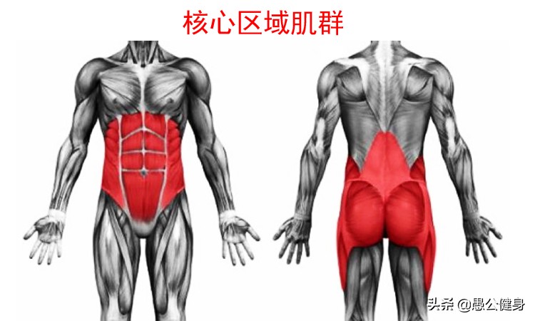瑜伽核心腹部收紧怎么做,怎么收紧腹部核心做运动