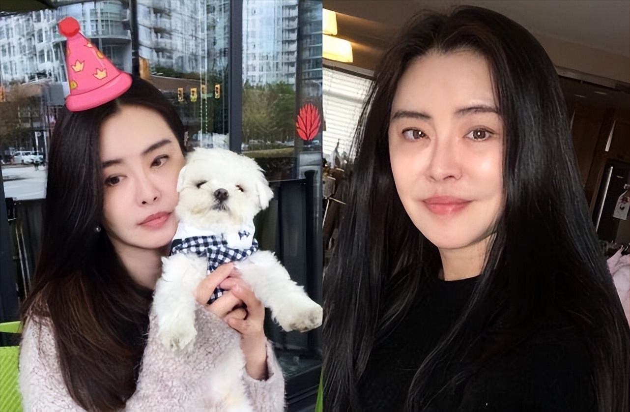 张铁林和林志玲,张铁林徐峥林志玲