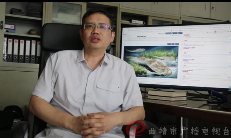 云南5亿年前鱼化石,中国远古鱼类化石