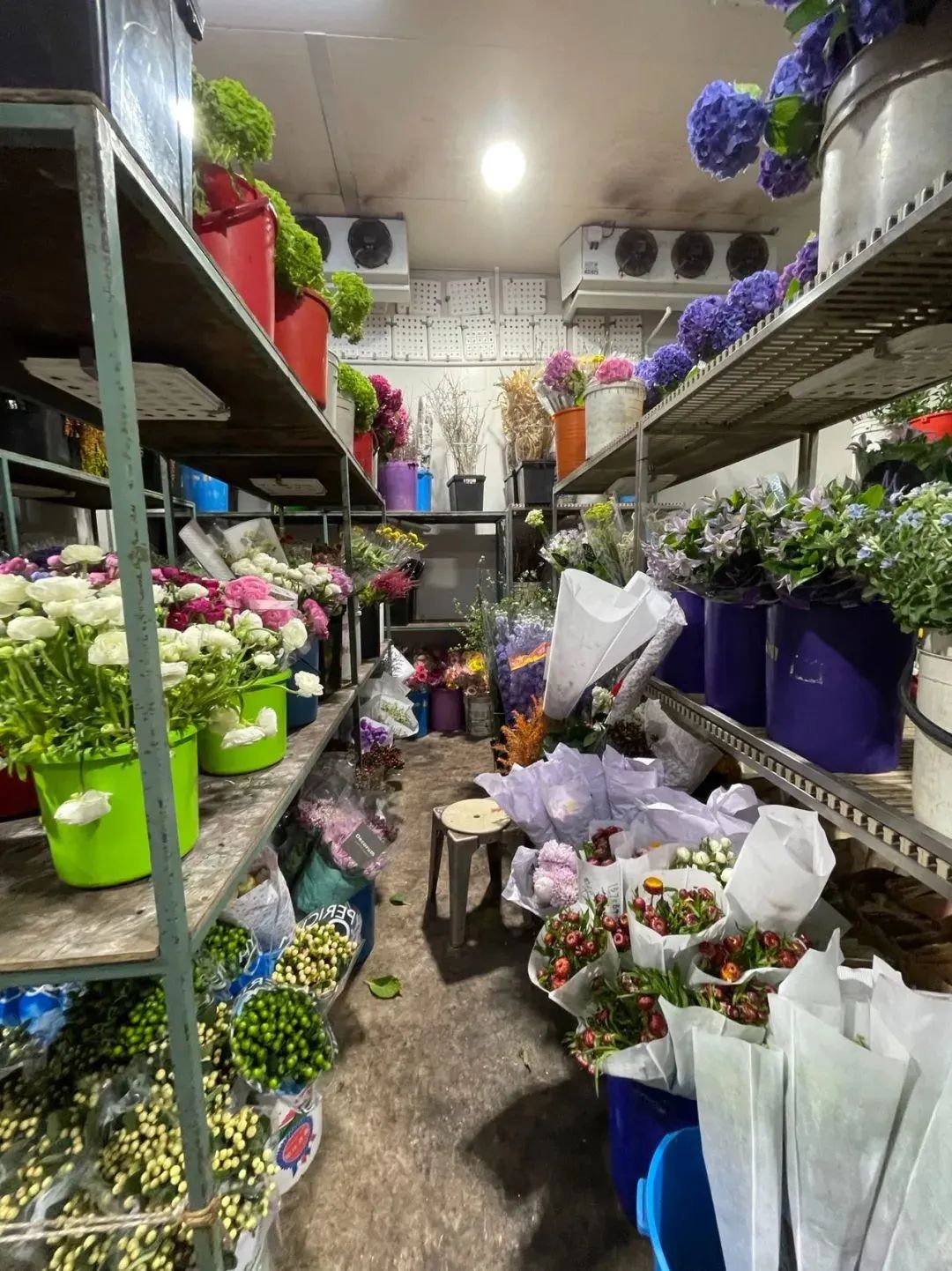 新手必看鲜花养护攻略,鲜花在水里能养几天会死