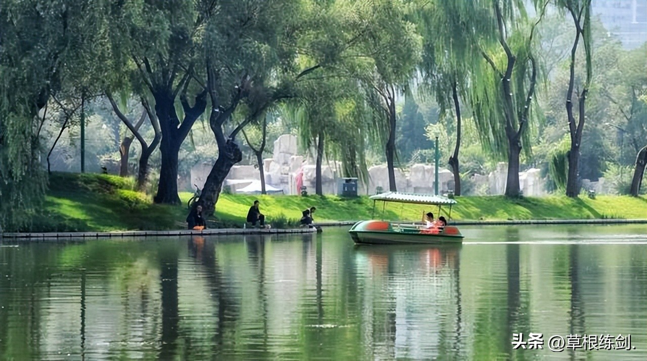 网易新浪头条及部分网络平台对纪实自传体回忆录《草根春秋》评论