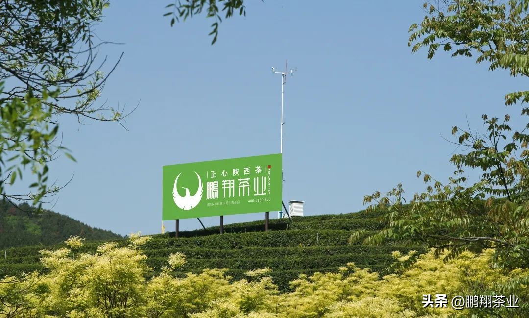 再度打响品牌知名度！“鹏翔”荣获2022年“陕西好商标”