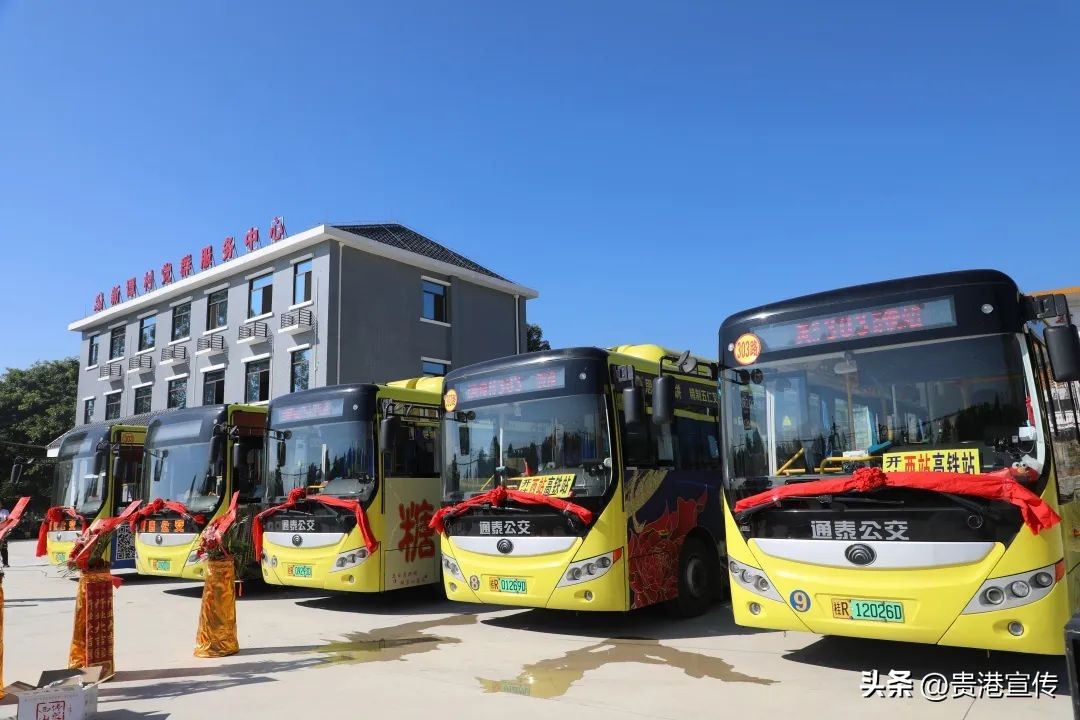 贵港市的经济发展重点领域有哪些,贵港经济实体发展总结