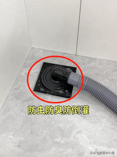 家里总有股臭味？肯定是这5处没弄好，看看你家中招了吗