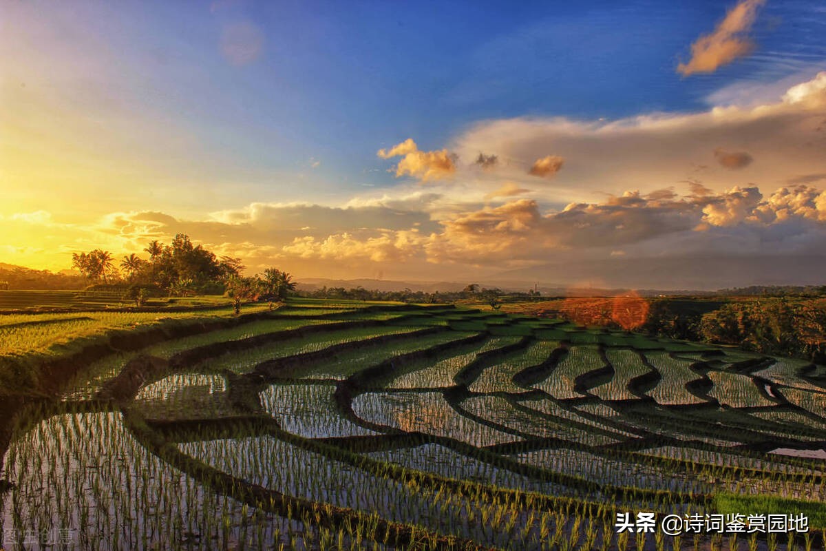鍏充簬鐜嬬淮鐨勭敯鍥鏅瘲,鐜嬬淮灞辨按鐢板洯璇楃殑鎰忓