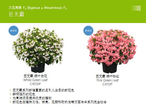 德国疫情带来的变化,德国园艺市场趋势