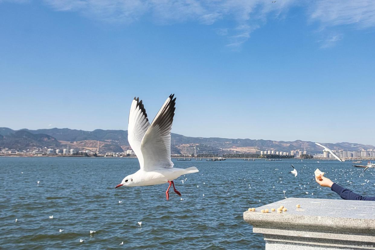 昆明本地人必去十大景点,昆明值得看的景点