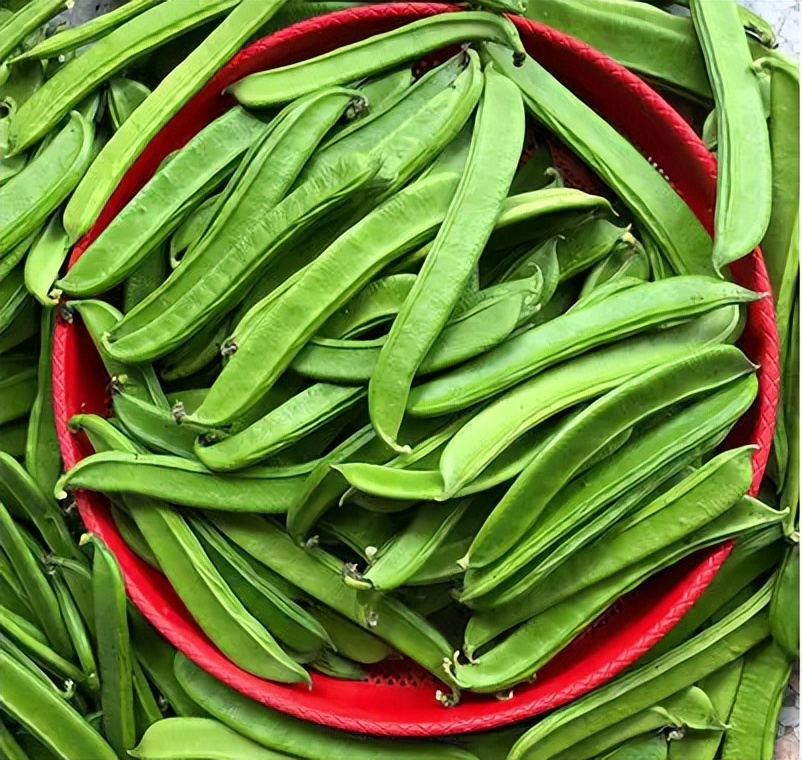 豆角毒性最大的种类,豆角的两个尖端据说有毒是真的吗