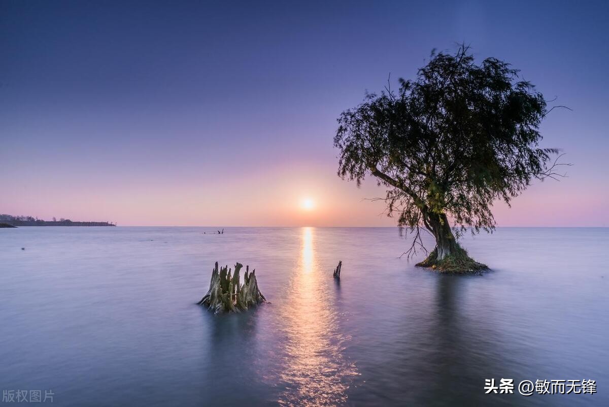 赚钱的规则和运作方式,赚钱应该了解金钱的规律