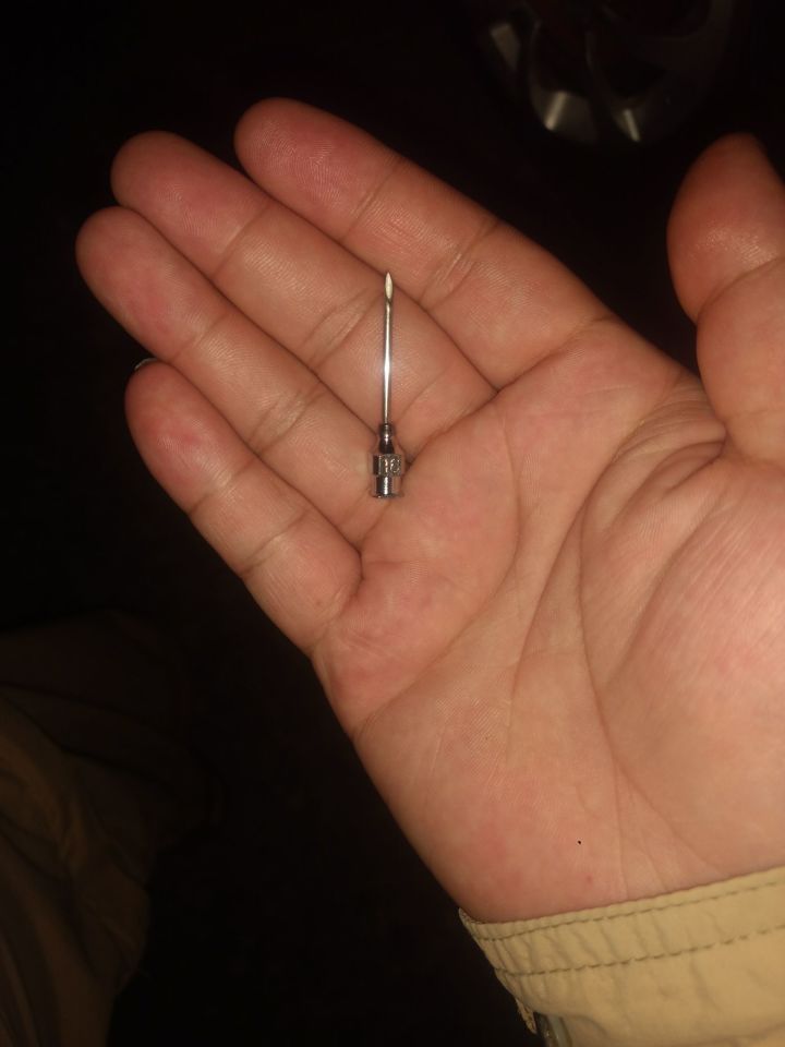 为什么猪能存活下来,为何猪在进化中没有被毁灭