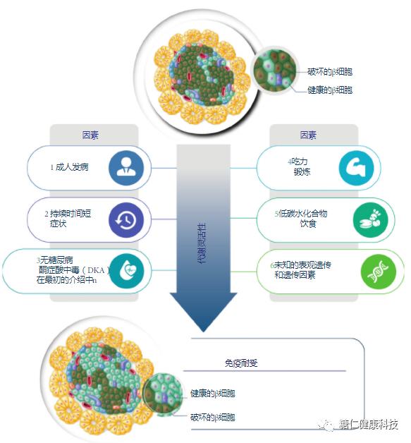 维生素d治疗糖尿病,维生素D隔多久补充一次