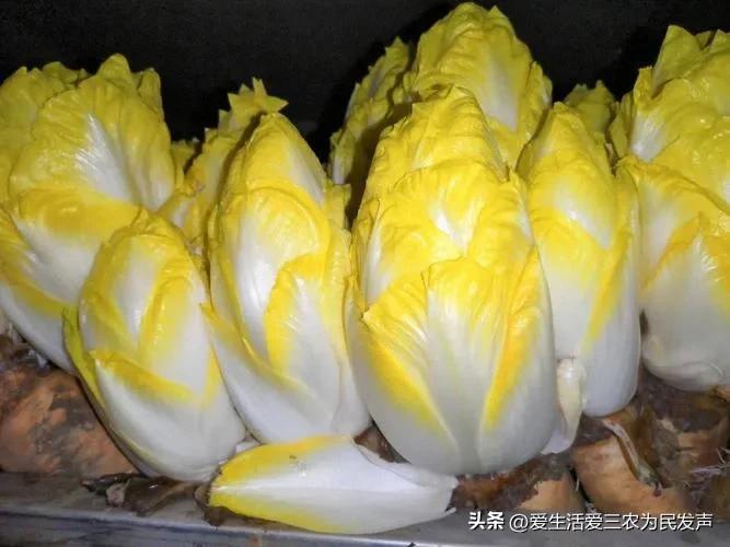 冷门的赚钱项目快速致富,想赚钱的朋友看过来