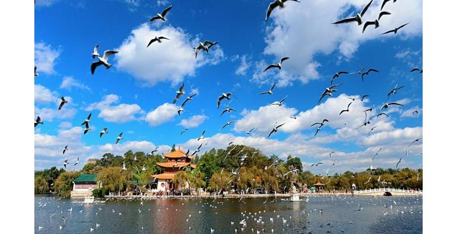 昆明旅游综合集散地,云南昆明哪里旅游人最多