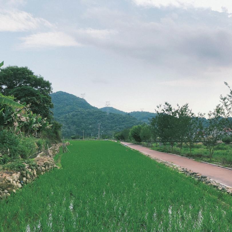 木兰风光好去处•达人带你去旅游|山环水绕清流如带——张洋村，一个藏在新县里的小村庄