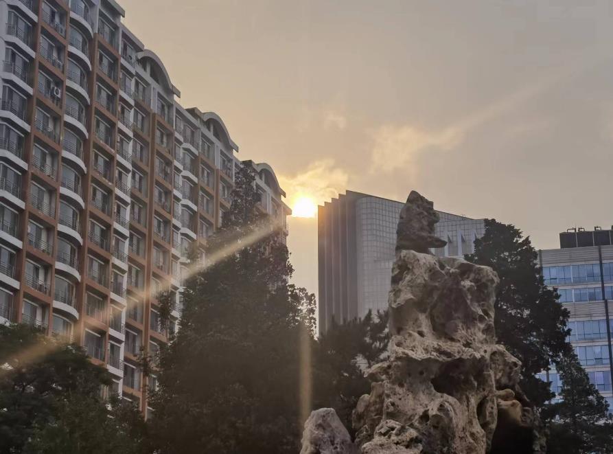 盛普股份2023年营收,盛普股份拟冲刺创业板ipo上市