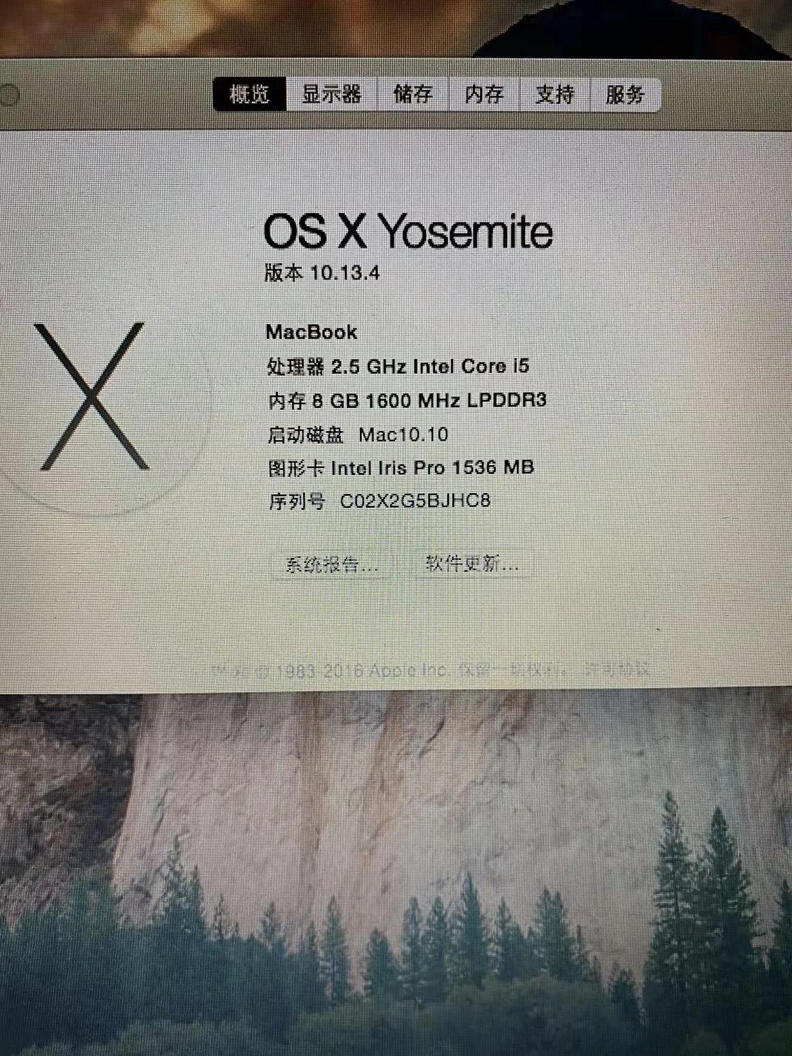 在闲鱼买会员被骗怎么追回钱财,在闲鱼买东西