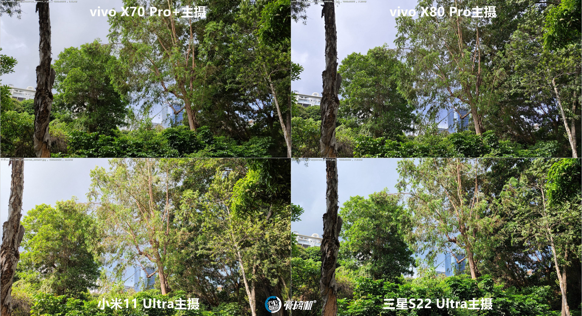 vivox80pro拍照对比小米11ultra,vivox80pro拍照对比三星s21