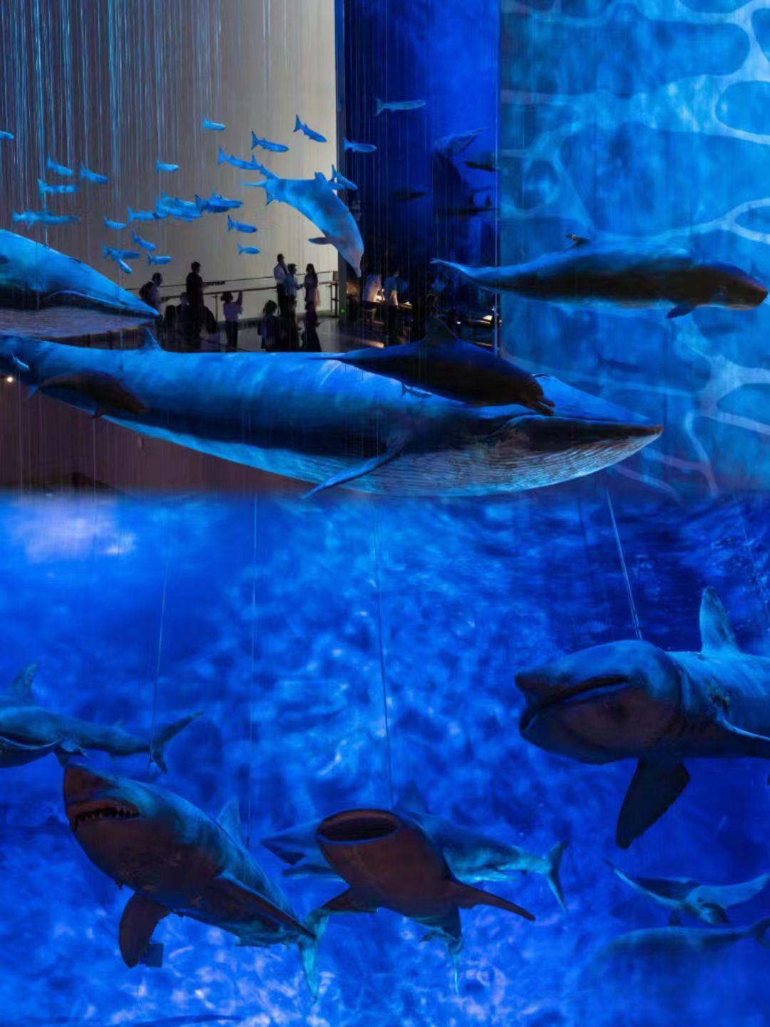 暑假广州游攻略,寒假广州3天2夜攻略