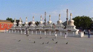 我宣布，烧卖和公厕是我在呼和浩特的心头好