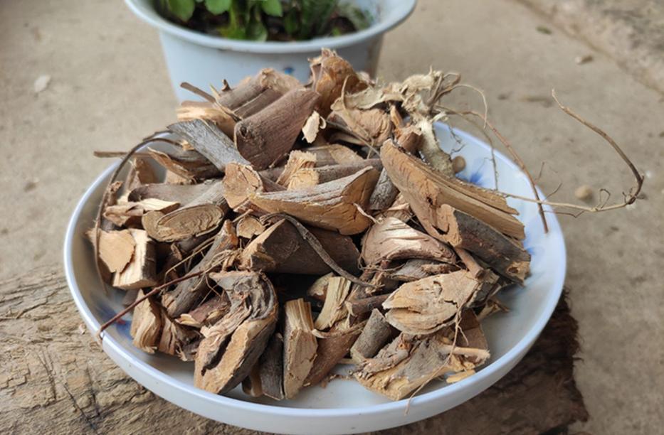 有一种树全株具乳汁，根部有奶香，是煲汤佳品，味美价值高，是啥