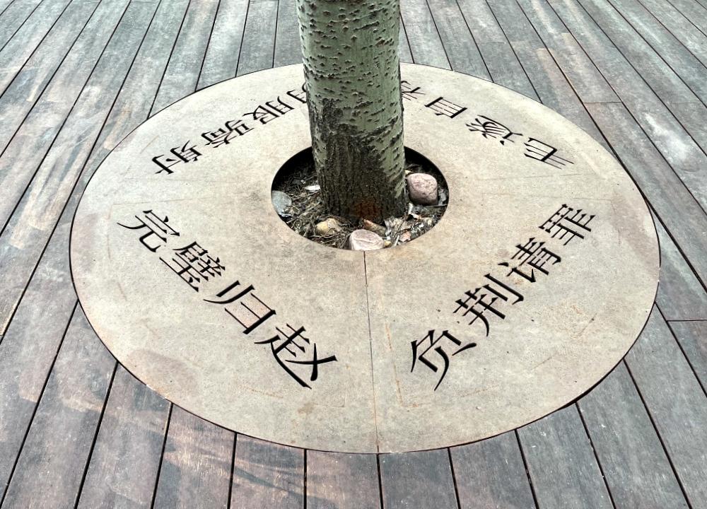 立夏时光美景,立夏时光打卡