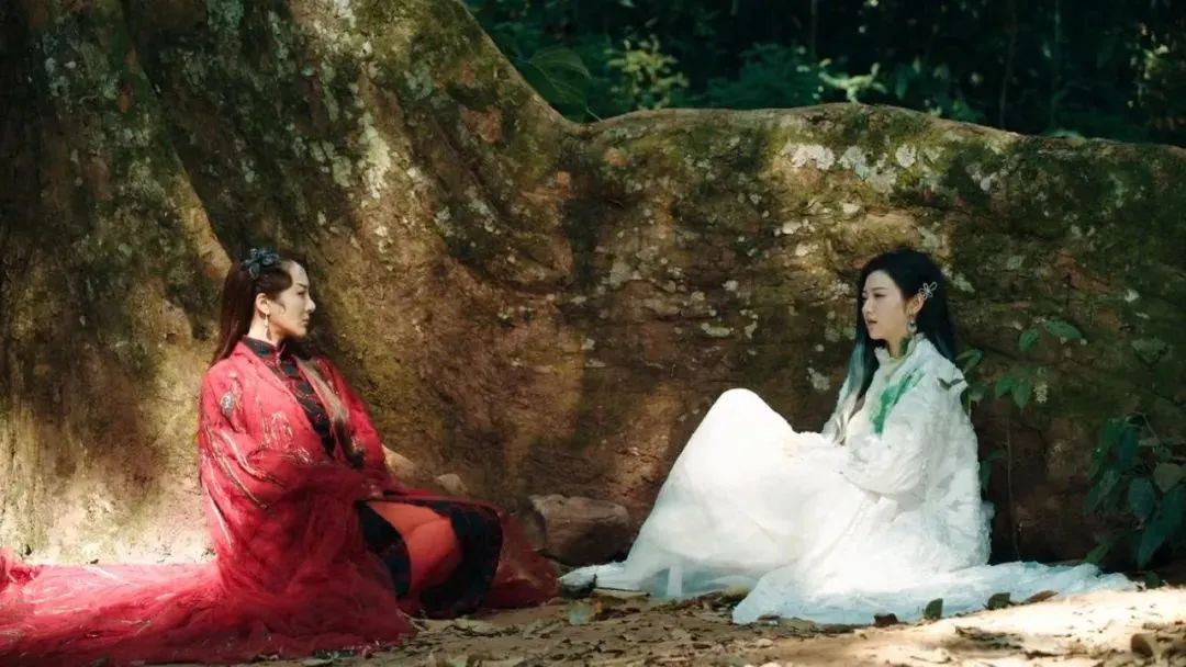 2021年第一部准爆款剧非赘婿莫属,赘婿系列电视剧排行榜前十名