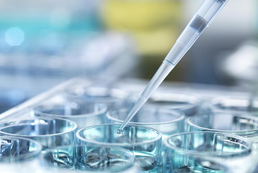 为什么日本人要杂交胚胎实验,日本人的杂交实验成功了吗