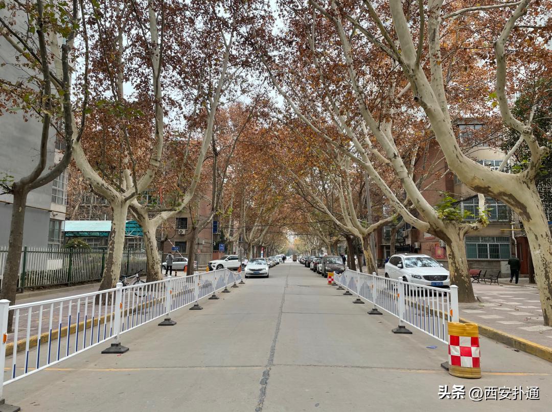 咸阳彩虹厂辉煌历史,咸阳彩虹厂板块怎么样