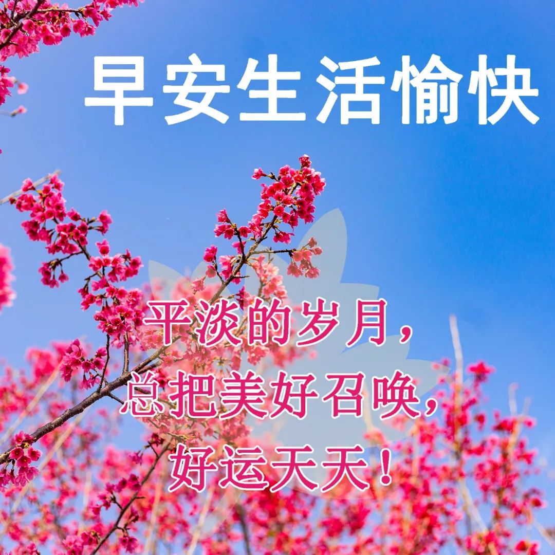 星期三早安创意早上好问候语图片,最新周五早上好问候语表情包