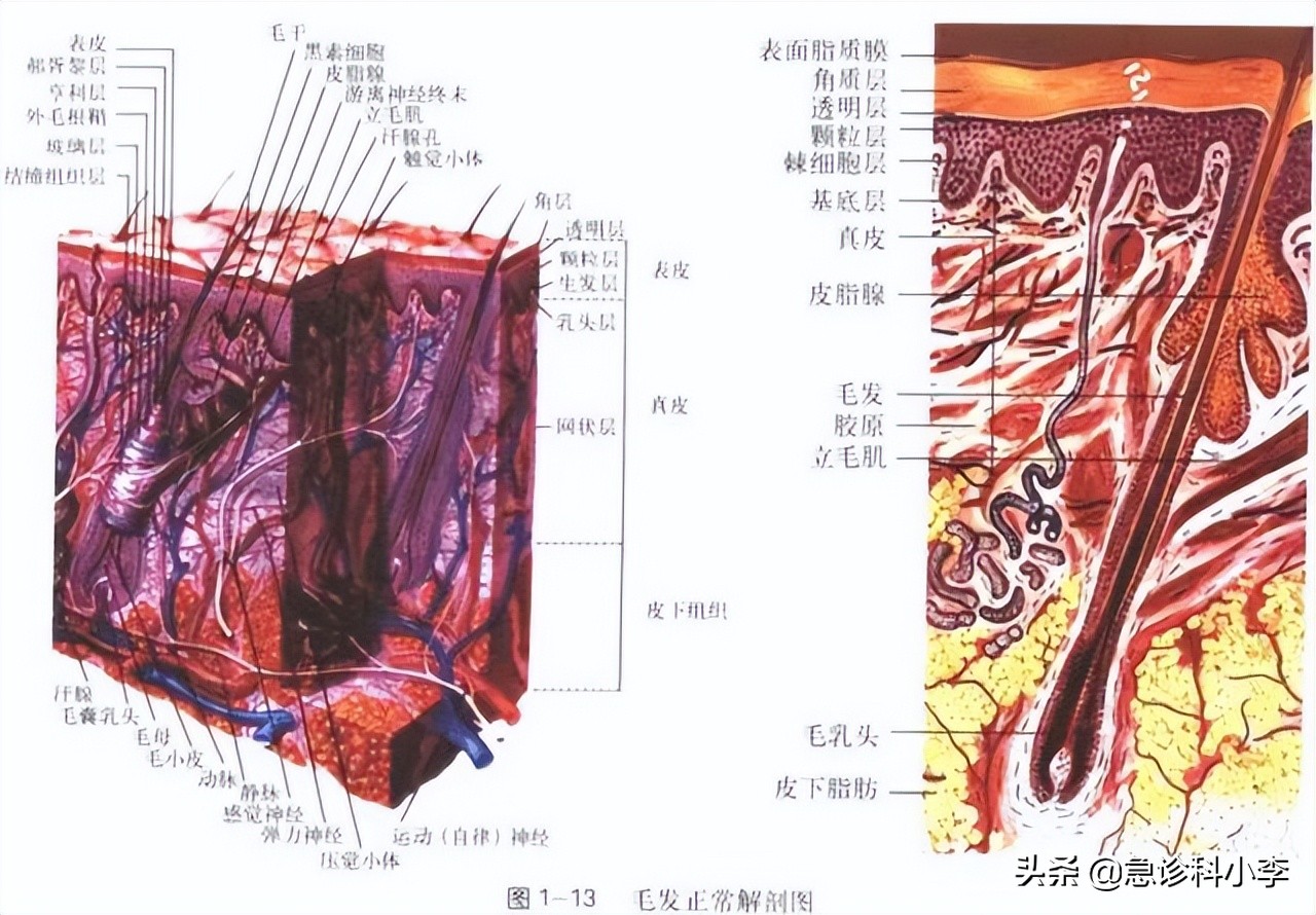 经常染发会致癌医生忠告注意5点,多久染发一次不会致癌