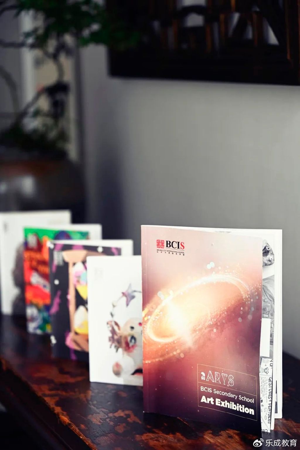 北京乐成国际学校全新战略,北京乐成国际学校的介绍