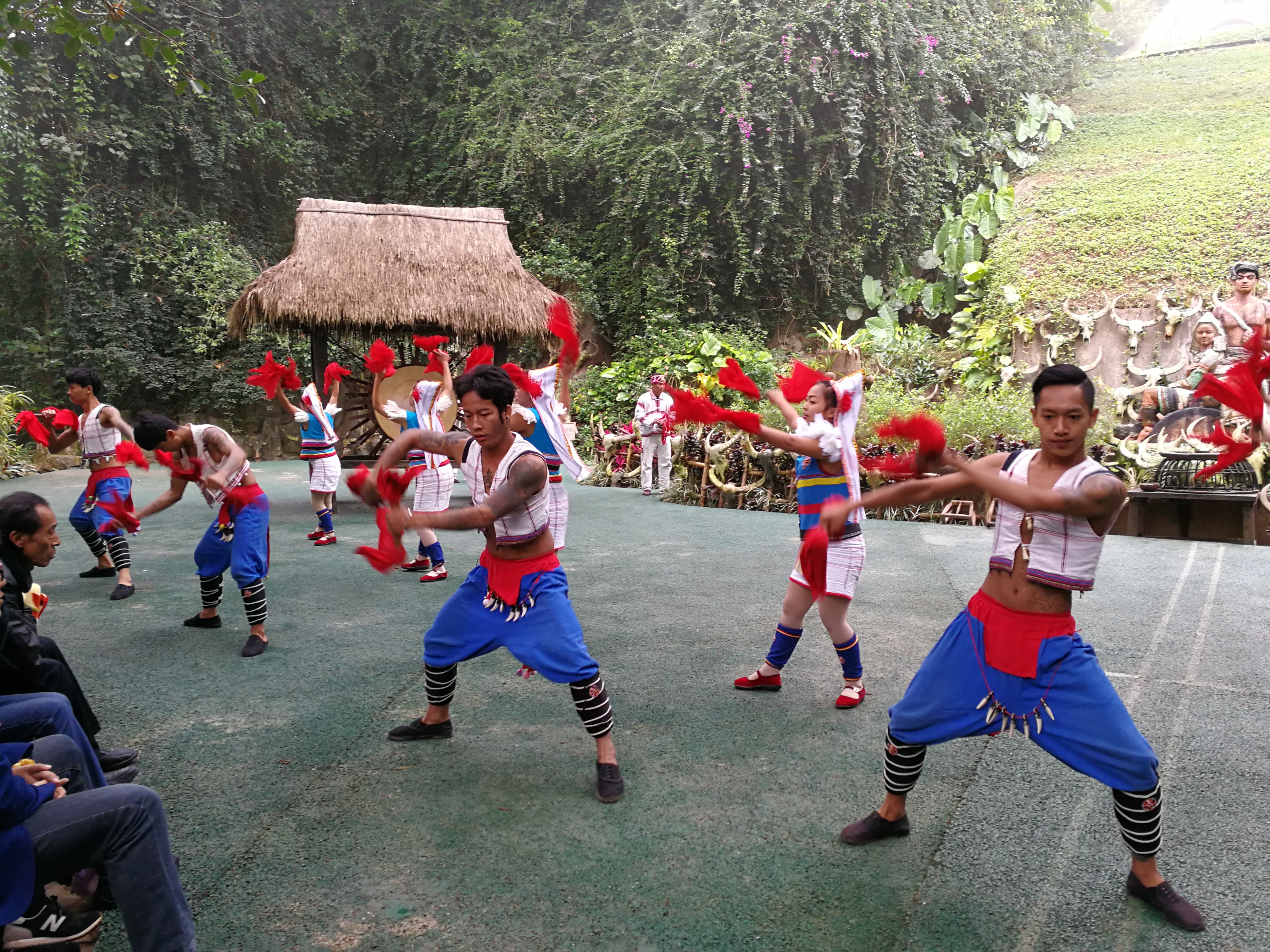 带大家走进美丽的西双版纳,带您走进美丽的西双版纳
