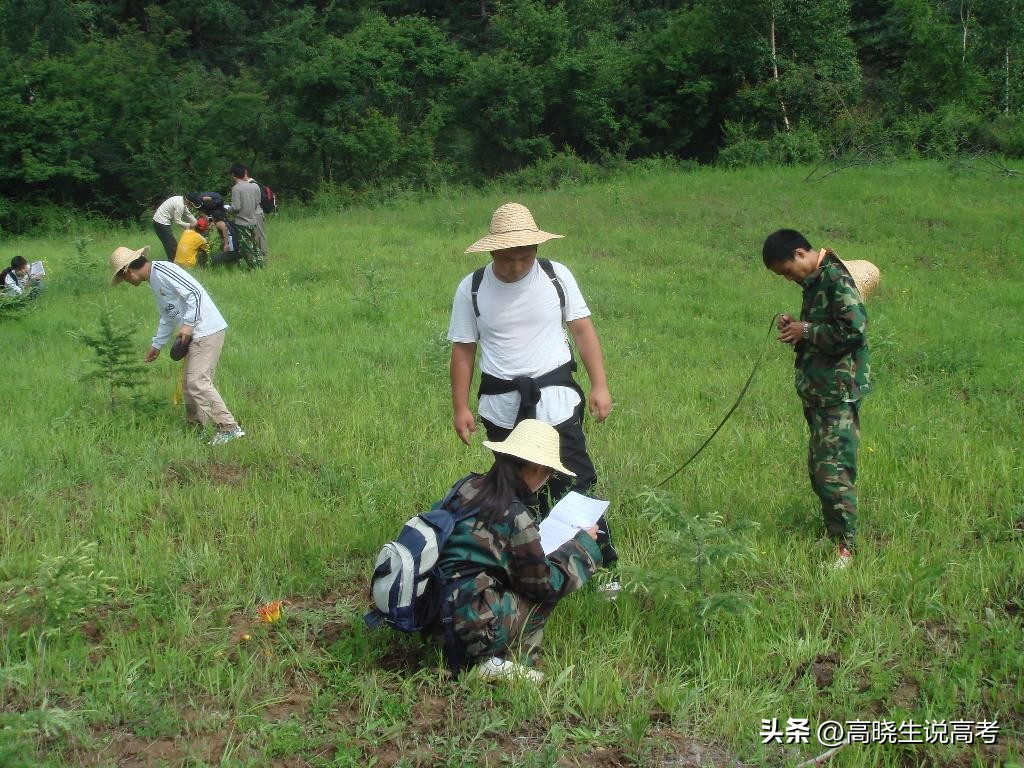 2023高考热门专业排行榜,2023高考志愿填报专业指导