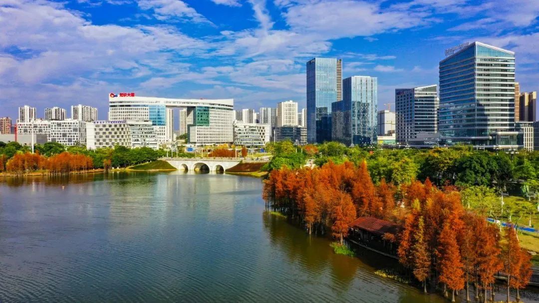 “双高”同步新模式！黄埔区这样招商！