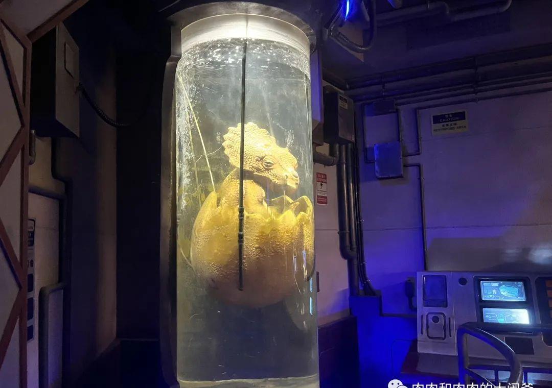 常州中华恐龙园有游泳的地方吗,常州中华恐龙园免费门票2022