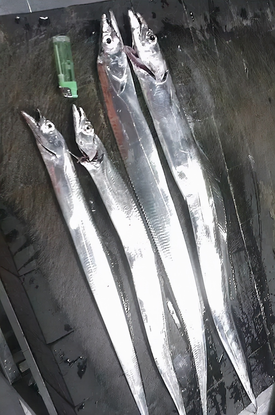 买海鲜应该怎么去买,如何挑选海鲜才是正确的