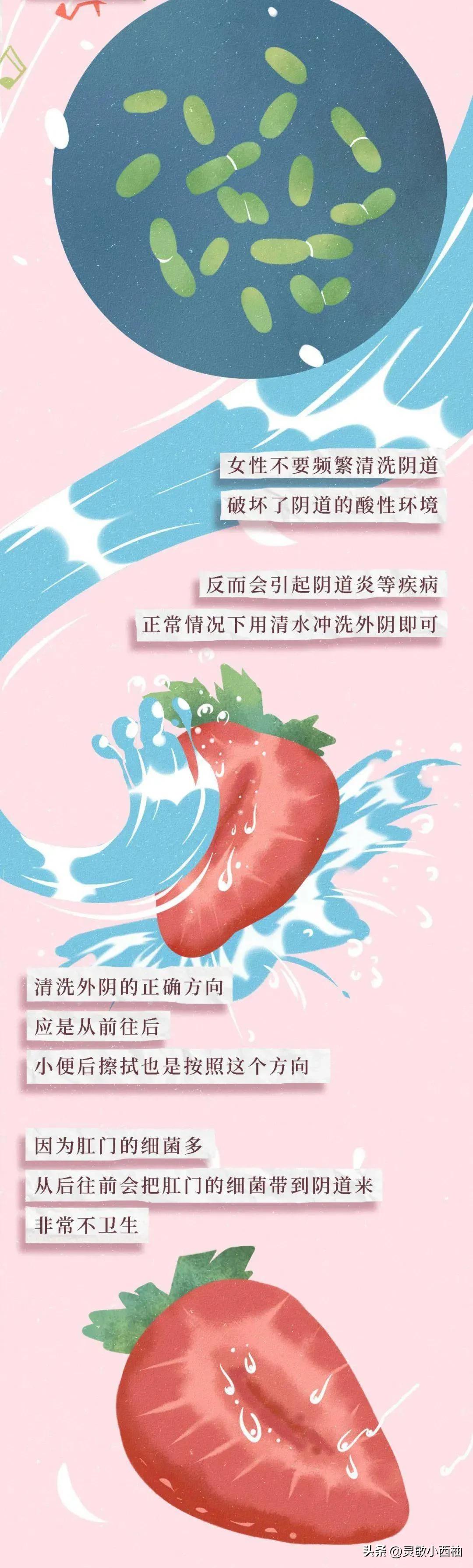 女性阴道生理科普知识大全完整版,女性阴道小知识