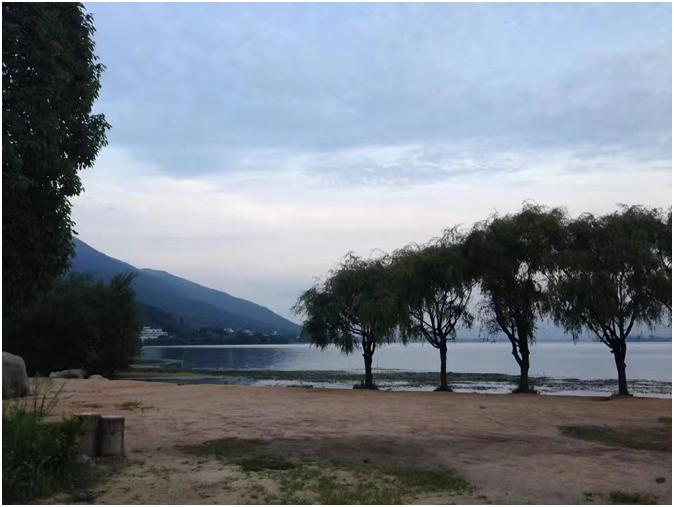 大学青春的绽放,大学青春