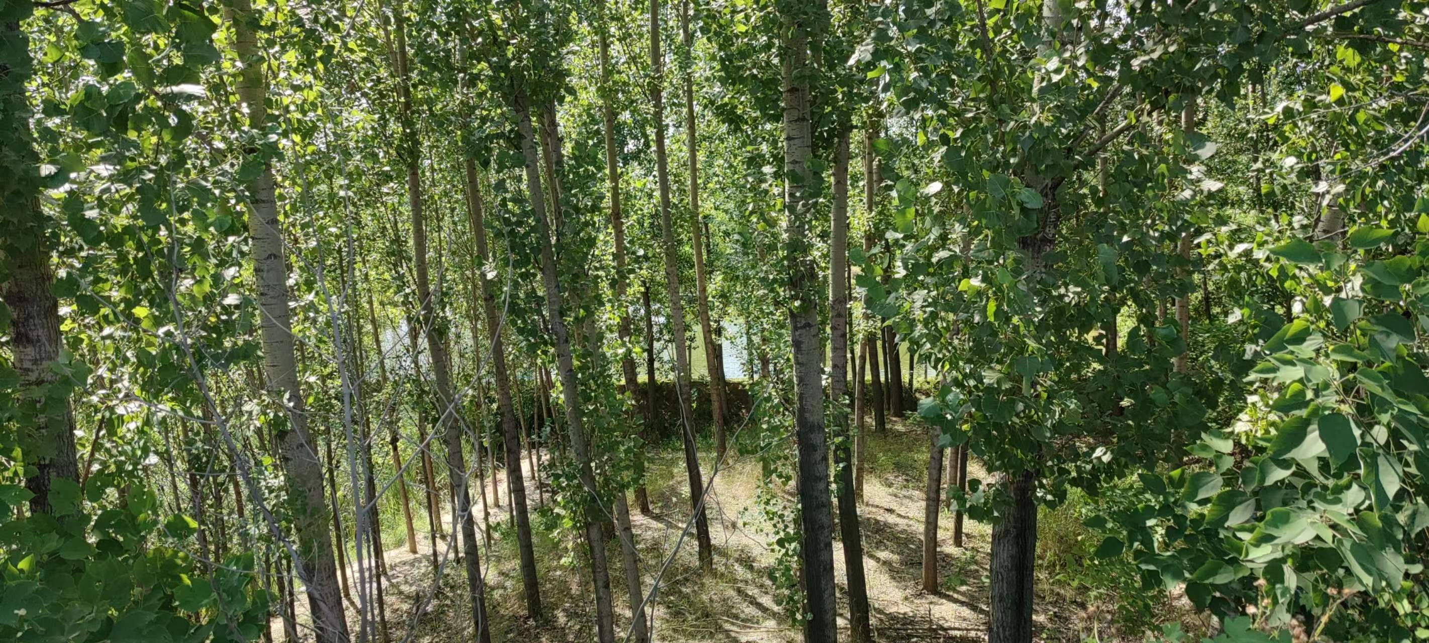 古中国考出彭蠡泽｜张笔魁