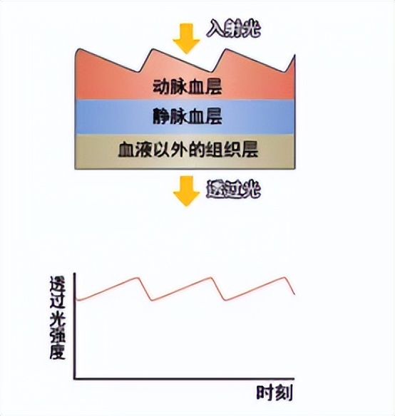 血氧仪被疯抢，它怎么能测出血氧浓度？智能手表或手环能代替吗？