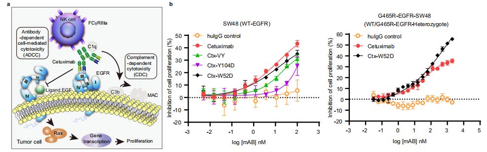 最新nature抗癌药,nature子刊高盐饮食竟能抗肿瘤