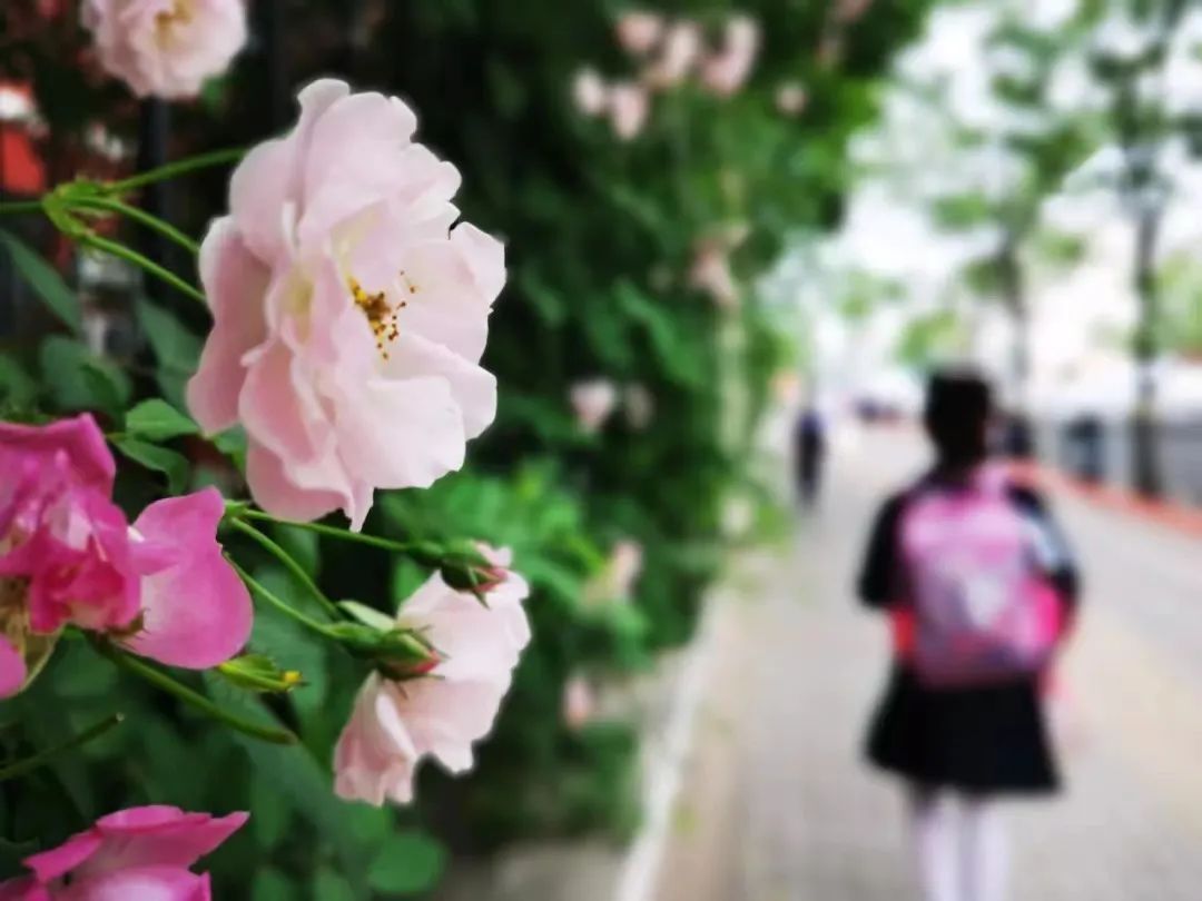郑东新区永平路小学划片范围,郑州市郑东新区永平路小学