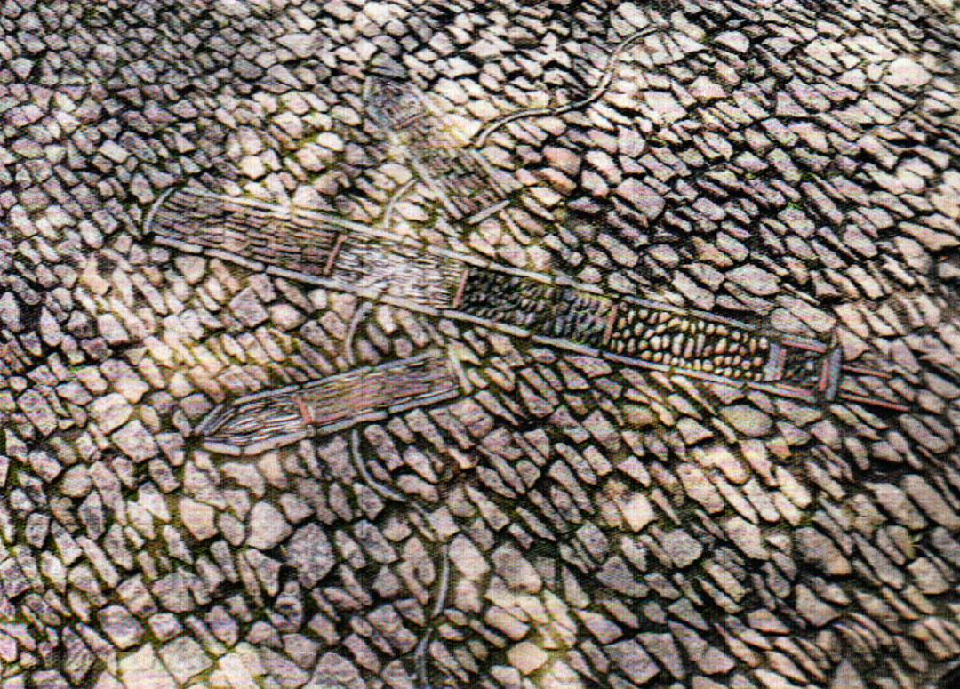 从“暗八仙”解构用边角废料和绣花功夫造就苏州园林的铺地艺术