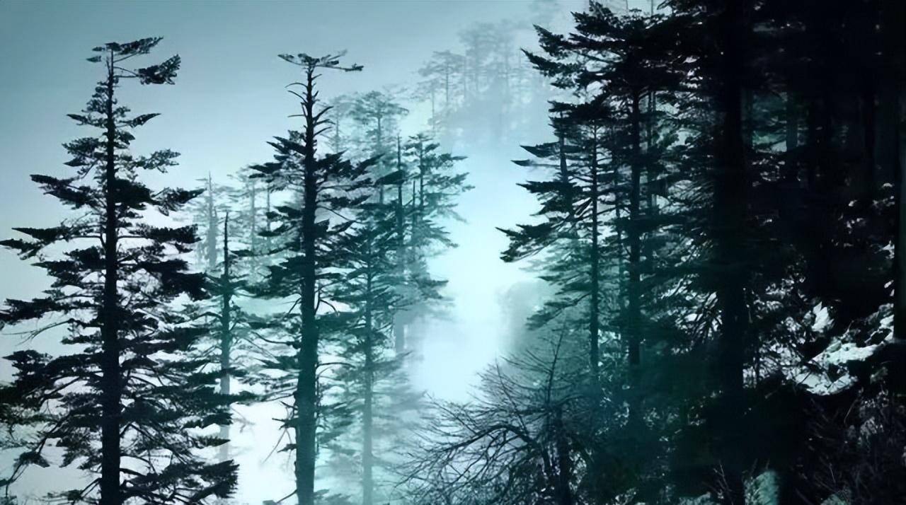 洪雅避暑胜地,洪雅最清凉的地方