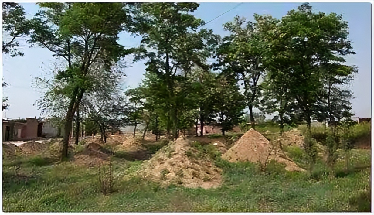 农村坟头俗语,坟前俗语