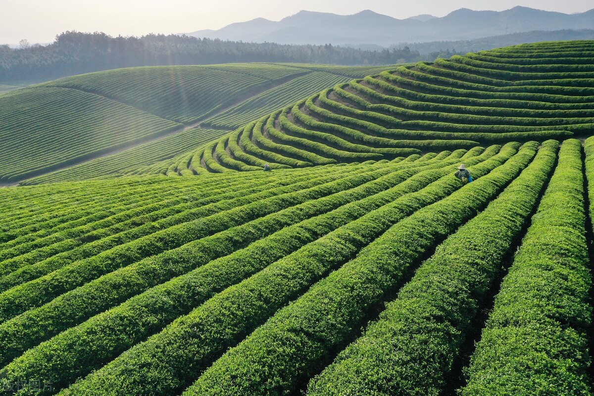 小说推荐穿越重生都市反派,穿越重生都市带着基地系统类小说