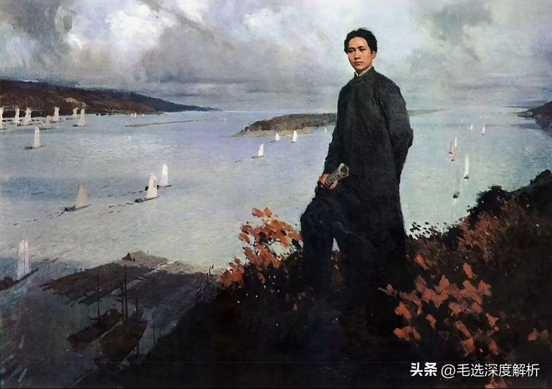 毛选深度解析,毛选深度分析与案例