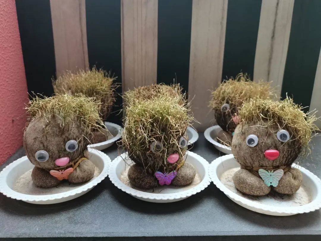 你好，草娃娃！——庆安乐儿堡幼儿园小二班课程故事