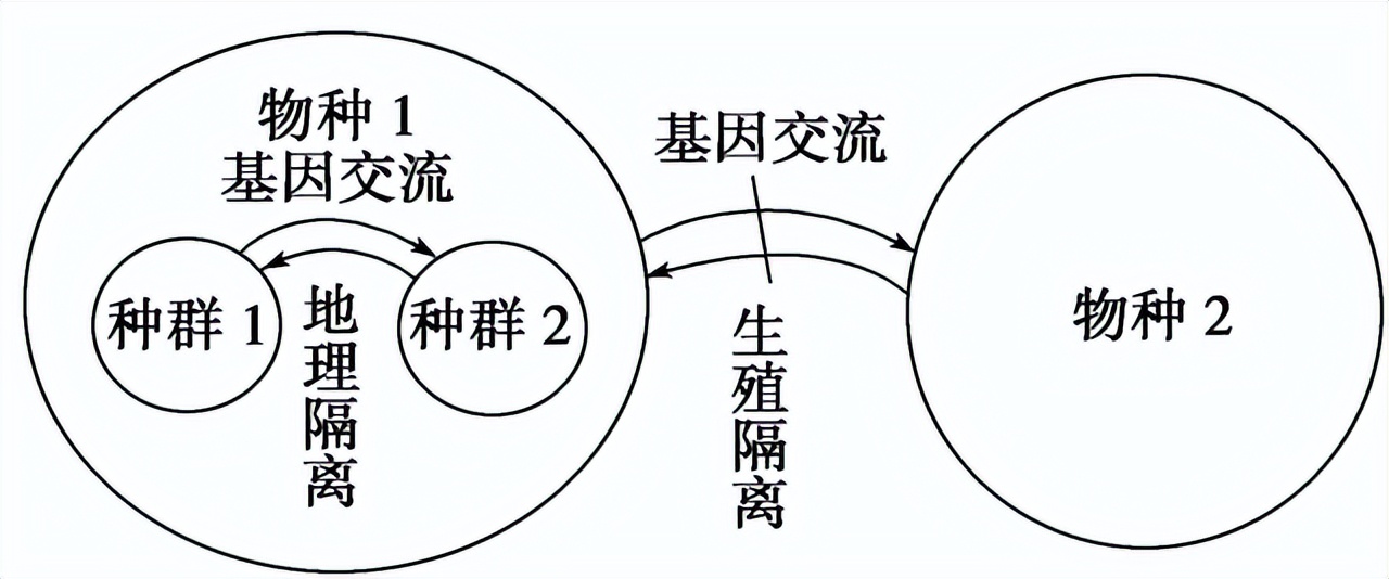 高中生物变异和育种知识点,高中生物变异育种进化思维导图